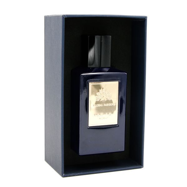 Парфюмированная вода Absolute Blue от Global Fashion, 100 ml (для него) 24182 фото