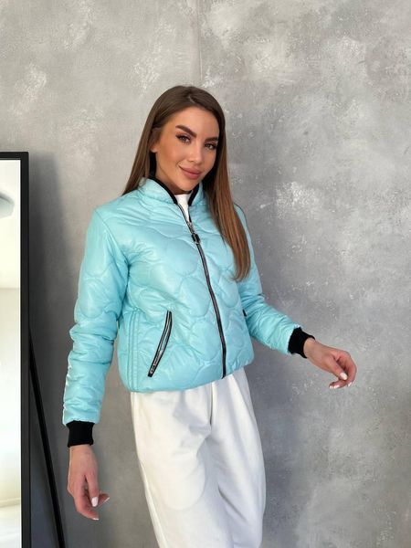 Куртка женская стежка плащёвка JEM-2019 (42 - 52 р.) Голубая JEM-2019 фото