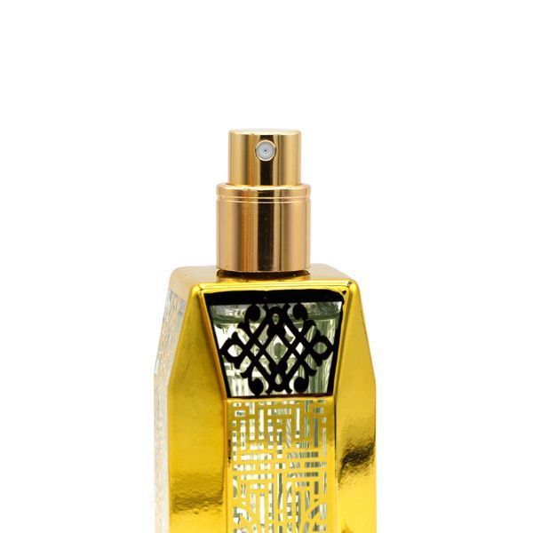 Духи Global Fashion, Terre d, Eau de Parfum for Her, 50 ml (для неї) 22431 фото