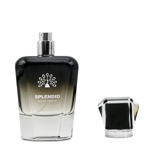 Парфумована вода Splendid від Global Fashion, 100 мл (унісекс) 24200 фото