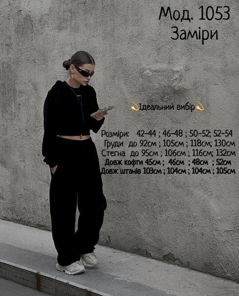 Костюм жіночий велюровий (штани та кофта) RAZ-1053 (42 - 52 р.) Фісташковий RAZ-1053 фото