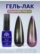 Cats Eye Gel Lacquer Fruit 11D, 8 ml, 03 25428 фото 1