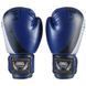 Боксерські рукавички Venum, DX-55, 10oz, синій-срібло VM55-10BS фото 1