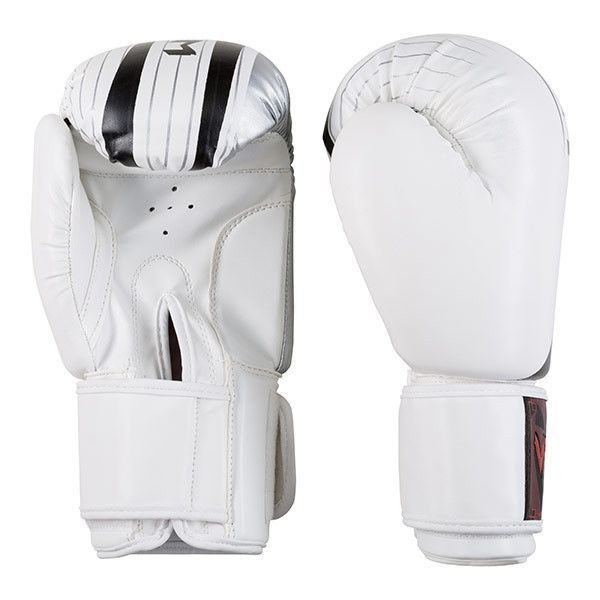 Боксерські рукавички Venum, DX-55, 10 oz, білий-срібло VM55-10WS фото