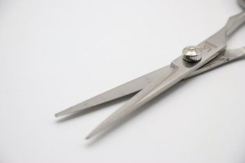 Ножиці для стрижки волосся, професійні SASSOON NG-6.0 26605 фото