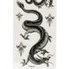 Тату наклейка для тела Tattoo TA6610 13884 фото 1