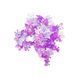 Manicure decor, set (colored bows) 24906 фото 2